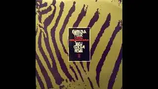 Kwanzaa Posse   Wicked Funk Afro Ambient Mix1