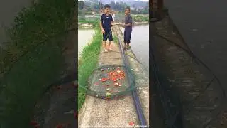 New Fishing Idea 🐬 #shorts #gadgets