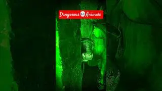 ghost video bhoot video sounds 😱#ghost #horror #bhoot_video #bhoot #halloween #spooky #scary #creepy
