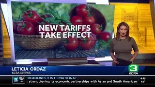 Trump administration adds 21% tariff on Mexican tomato imports. What that could mean for California