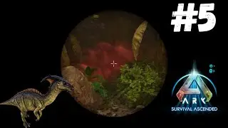 ARK ASCENDED The Island FR #5 : Donnez Moi un Parasaure 😭