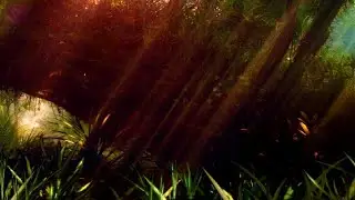 MUGEN ReShade Presets Showcase: 🌴Deep Jungle/Crysis Jungle by Jean Bureau🌴
