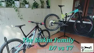 Polygon Siskiu D7 vs T7 Upgraded Custom Mantap