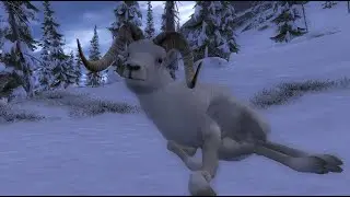 So Many HUGE Sheep: The Hunter Classic Road To Top 1000 #30
