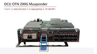 Sintai P514 10G 100G Muxponder