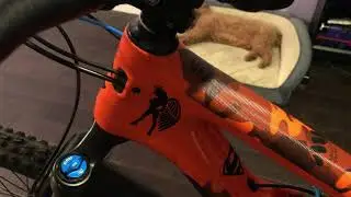 Мой новый горный велосипед - Cannondale Trigger 3