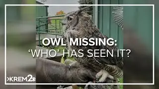 West Valley Outdoor Learning Center asks for help finding Marcus the owl