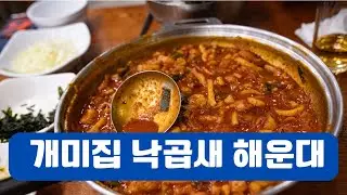 개미집 낙곱새 해운대