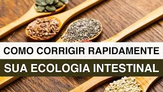 Como Corrigir sua Ecologia Intestinal Rapidamente