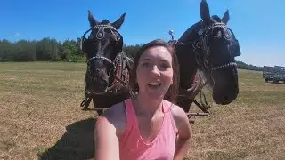 My Daughter Abby came to Rake Hay with the Percheron Horses!