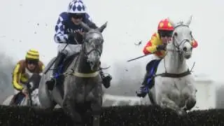 betting and win big-Horse Racing Betting Service,Bet Alchemist,www.betalchemist.com