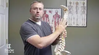 Importance of Visiting your Chiropractor - Baxter Chiropractic Clinic