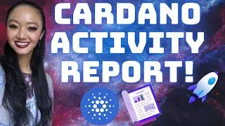 New CARDANO Report Just Dropped!