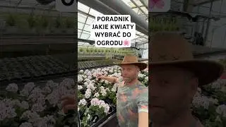 HITY OGRODOWE, jakie kwiaty sadzić w ogrodzie🔥🪴🌸