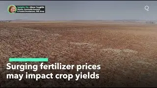 Surging Fertilizer Prices May Dampen Crop Yields