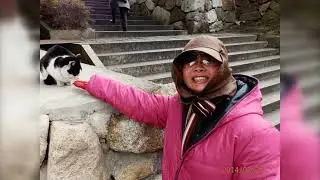 2014 Feb 18-25: trip to Nagoya
