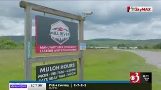 Is closure of Vermont lumber mill a sign of forest industry woes?