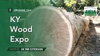 Kentucky Wood Expo  - From the Woods Today - Episode  264