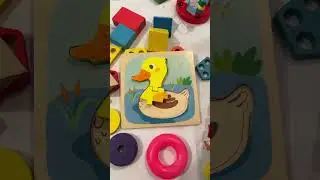 Collecting duck #puzzle#toy#developer
