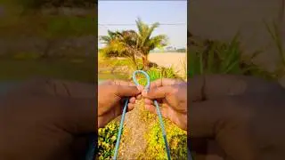 Genius Knot vs Bowline Which Is The SAFEST Choice For ROCK CLIMBING