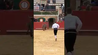 #Bullfighting#SpanishBullfight#Matador#SpanishCulture#SpainTradition