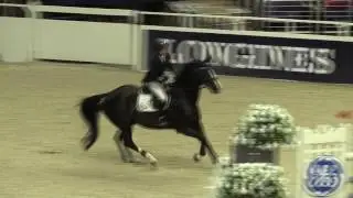 Video of FEELING ridden by JORDYN ROSE FREEDMAN from ShowNet!