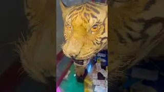 Fierce tiger statue at Le Van Duyet Mausoleum #tiger #statue #temple #saigon #shorts