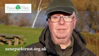 TRAILER Nene Park - the untold story