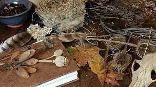 Natural form | Cottagecore | Countryside Living UK | Artist vlog | Slow living