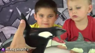 Toy SHARK! Animal Planet Killer Whale Family Fun Toy Review HobbyKidsTV