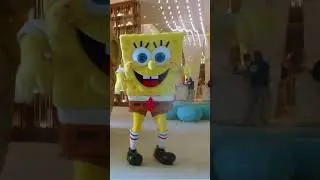 Nickelodeon Hotels & Resorts Riviera Maya | Verano de Bob Esponja | Hasta 35% dto. y 18 MSI (MX)