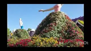 Miracle Garden, Dubai