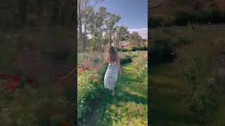 wildflower field farm dreams