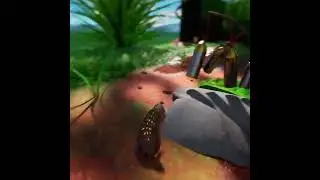 Untitled Isopod game by Sbug Games #indiegame #gaming #isopods