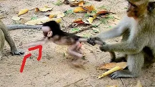 Sad, DeeDee kidnapper baby Polino cry seizure, Polino try to free from DD.