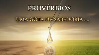 Proverbios uma gota de sabedoria pode melhorar o homem