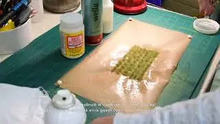 Zelf lage struiken maken   HD 720p