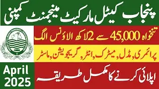 Punjab Cattle Market Management Company Jobs 2025 | PCMMDC Jobs 2025 | Latest Jobs 2025 | Jobs 2025