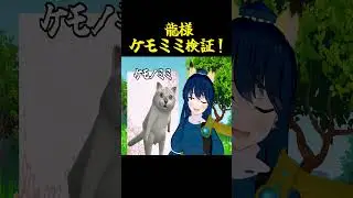 【ショート文々。】龍様はどれだけケモミミがお好き？