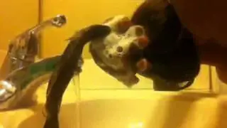 Part 1 of washing my ag doll hair