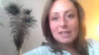 Pragmatic Psychology &trade;- Mag. Susanna Mittermaier, lic. clin. psychologist