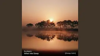 Silent Study Thought (Sleep Edit)