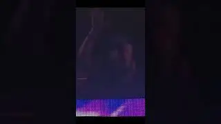 Avicii - Ultra Music 2013 - Shorts2