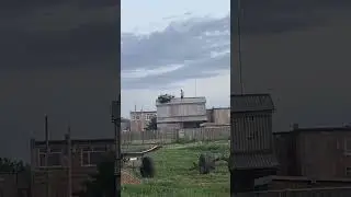 Sheep stranded on hayloft roof in Omsk