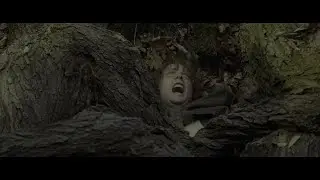 Древень спасает Мэрри и Пиппина. Властелин колец: Две крепости (2002) | 4К