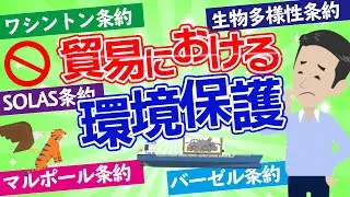 【貿易実務検定C級 対策】貿易における環境保護について！各種条約による規制を解説しました。