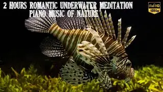 Romantic Underwater Meditation Piano Music of Nature - Vol.016