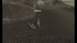 Velociraptor VS pteranodon! Roblox dinosaur life.