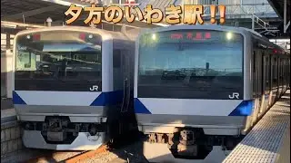 常磐線　【鳴りやすさ密着‼️】夕方のいわき駅