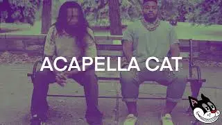 Armand Hammer - Indian Summer Acapella 71 BPM - 4K Acapella Cat